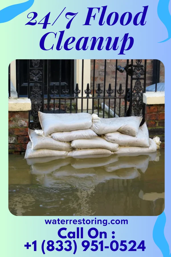 24/7 Flood Cleanup in Macedonia, IL