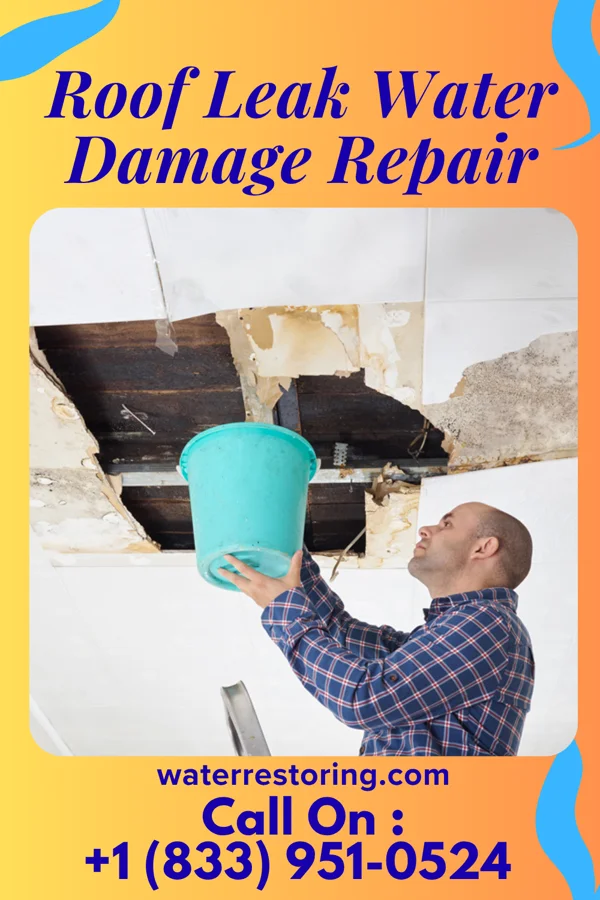 Roof Leak Water Damage Repair in Macedonia, IL