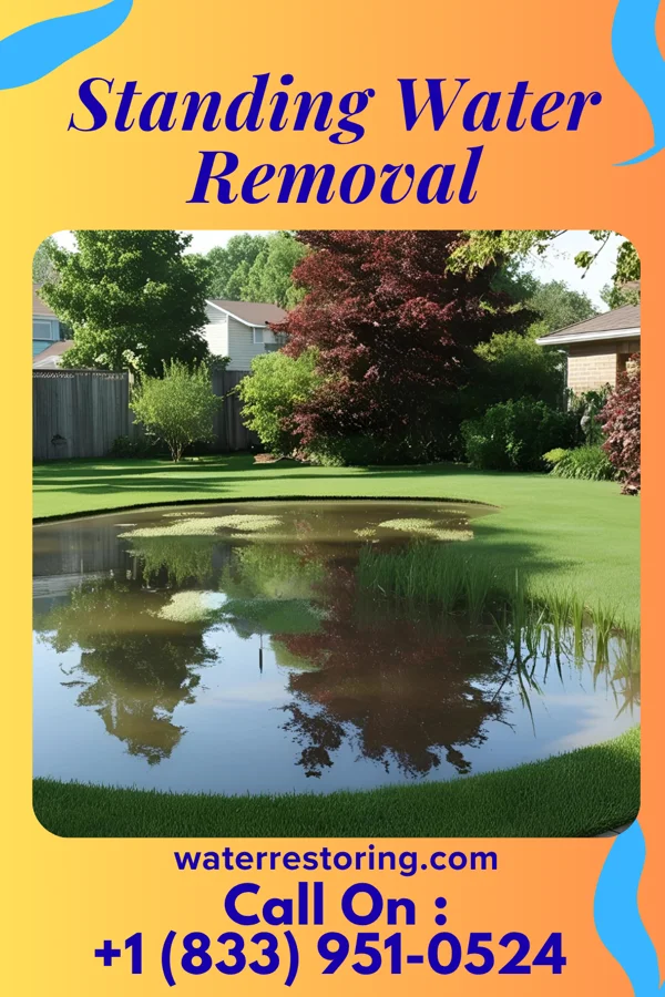 Standing Water Removal in Macedonia, IL